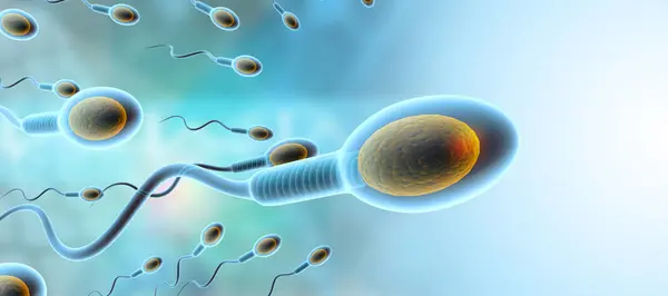 Human Sperm Cells Moving Illustration — Foto de Stock