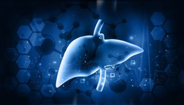 İnsan karaciğer anatomisi yapısı. 3d illüstrasyon