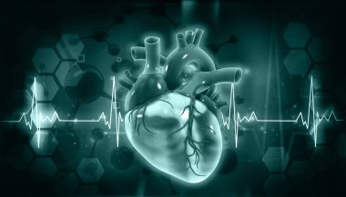 Tıbbi geçmişinde insan böbreği anatomisi var. 3d illüstrasyon