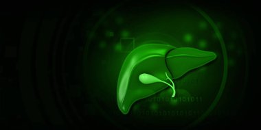 Yeşil arka planda insan karaciğeri anatomisi. 3d illüstrasyon