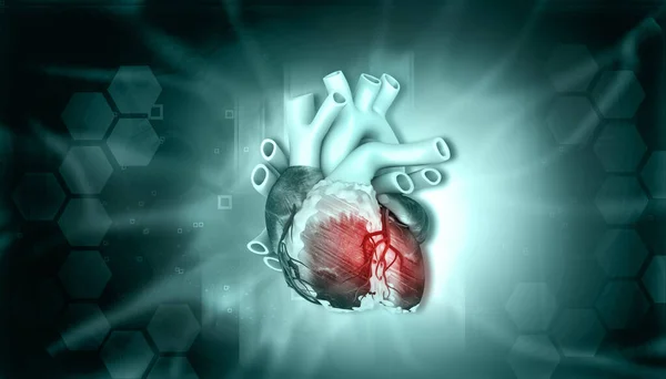 Human Heart Abstract Background Illustration — Stok fotoğraf