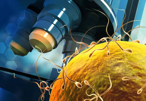 Mikroskop Mit Spermien Und Eizellen Illustration — Stockfoto