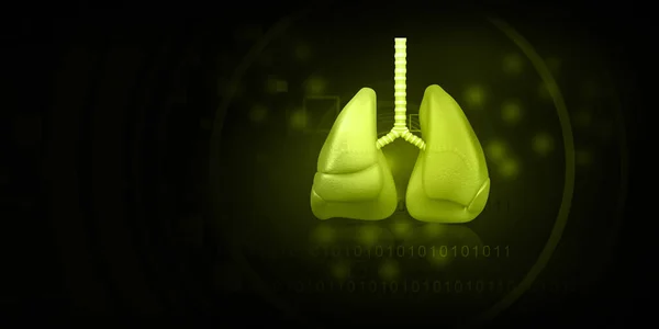 Humane Lunger Diagram Grønn Bakgrunn Illustrasjon – stockfoto