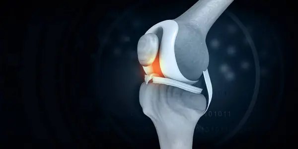 Human Knee Bone Structure Blue Background Illustration — Stock Photo, Image