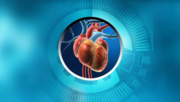 Dijital Teknoloji Arka Planında Insan Kalbi Anatomisi Illüstrasyon — Stok fotoğraf
