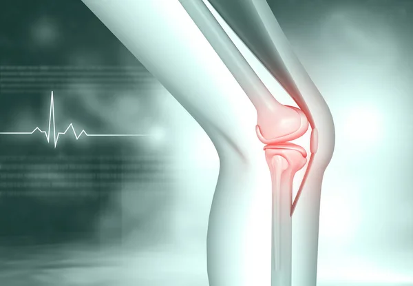 Human Knee Anatomy Knee Pain Illustration — Stock Photo, Image