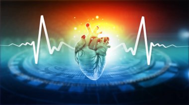 Tıbbi geçmişinde Ecg grafiği olan İnsan Kalbi Anatomisi. 3d illüstrasyon