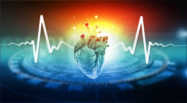 Anatomy Human Heart Ecg Graph Medical Background Illustration — Stock Photo, Image