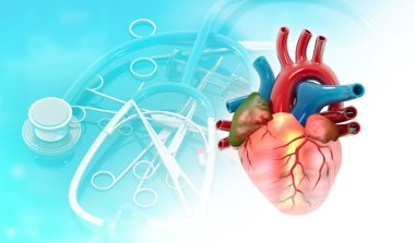 Tıbbi geçmişinde insan kalbi anatomisi var. 3d illüstrasyon
