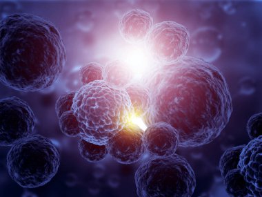 Corona Virüsü veya Covid 19