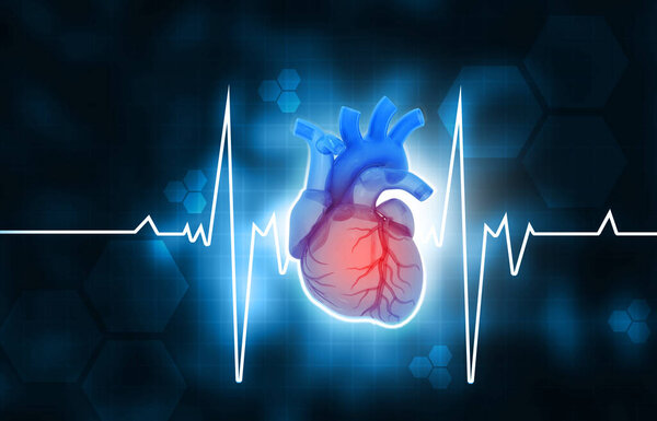 Ecg  graph with human heart background, 3d illustration	