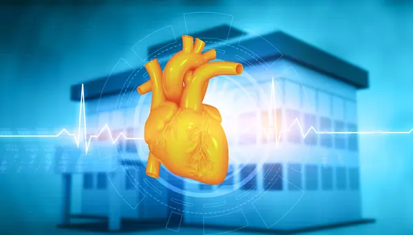 Human heart on hospital background. 3d illustration