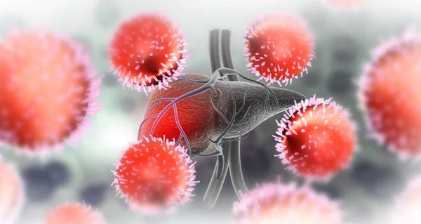 Hepatitis virus attack the liver. 3d illustration