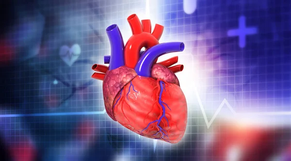 Human heart on medical background. 3d illustration