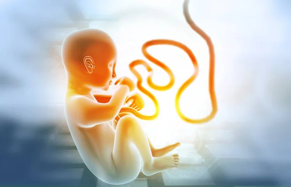 Ludzki Płód Tle Naukowym Ilustracja — Zdjęcie stockowe