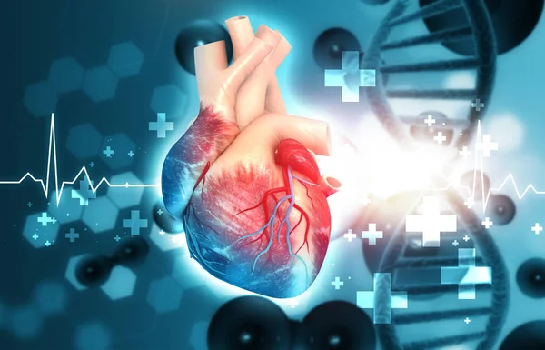 Menschliches Herz Mit Dna Strang Auf Wissenschaftlichem Hintergrund Illustration — Stockfoto