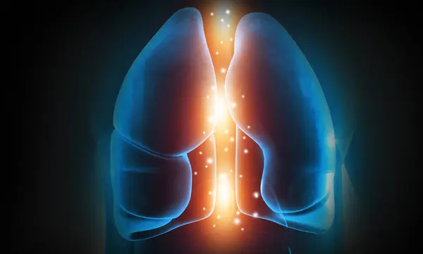 Yanan Ciğerler Sigara Kansere Neden Olur Illüstrasyon — Stok fotoğraf
