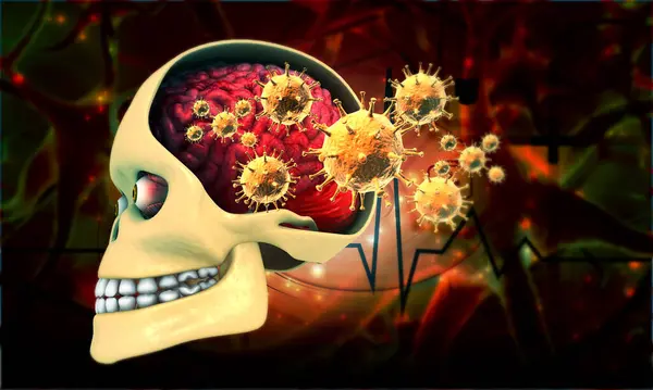 Human Skull Brain Virus Illustration — Stock Photo, Image
