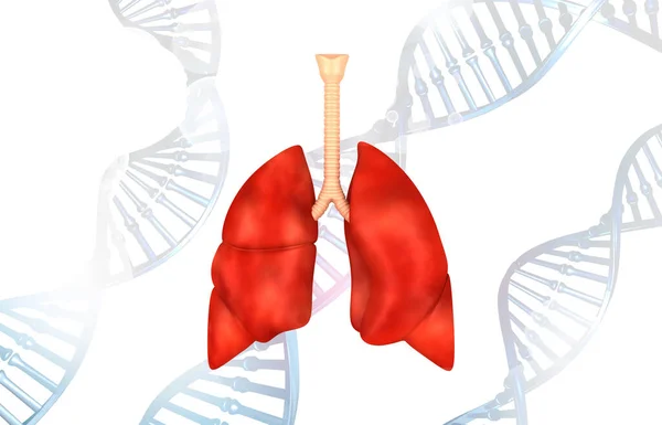 Anatomía Pulmonar Con Fondo Adn Ilustración — Foto de Stock