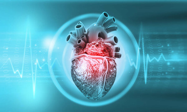 Human heart anatomy with ecg background. 3d illustration	