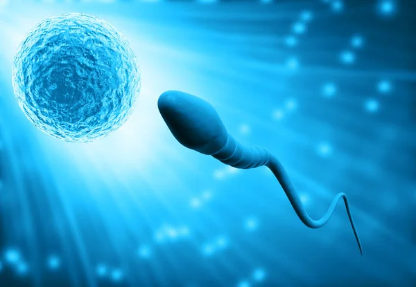 Befruchtung Sperma Und Eizelle Illustration — Stockfoto