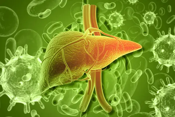Human liver on virus background. 3d illustration