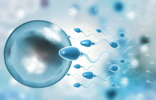 女性の卵子を持つ人間の精子 3Dイラスト — ストック写真