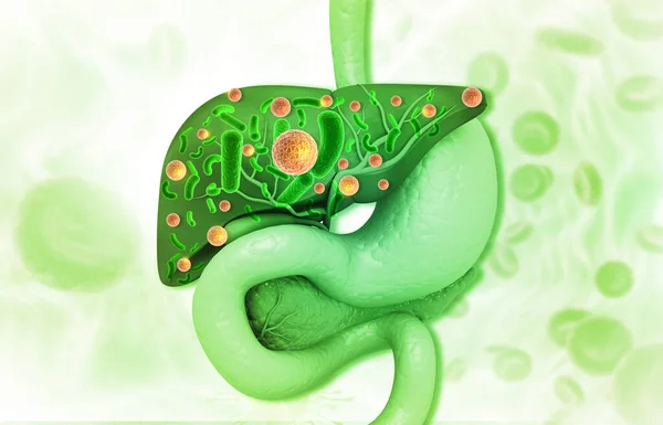 Virus in human liver digestive system. 3d illustration