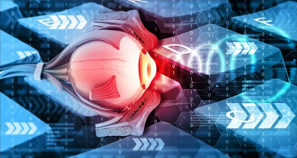 Anatomia Ludzkiego Oka Tle Technologii Ilustracja — Zdjęcie stockowe