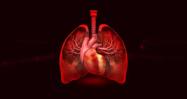 Anatomie Der Menschlichen Atemwege Vor Dunklem Hintergrund Illustration — Stockfoto
