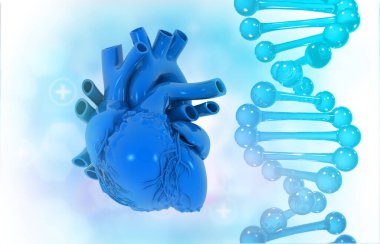 DNA ipliği olan insan kalbi. 3d illüstrasyon