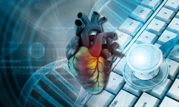 Menschliches Herz Auf Stethoskop Mit Computertastatur Hintergrund Illustration — Stockfoto