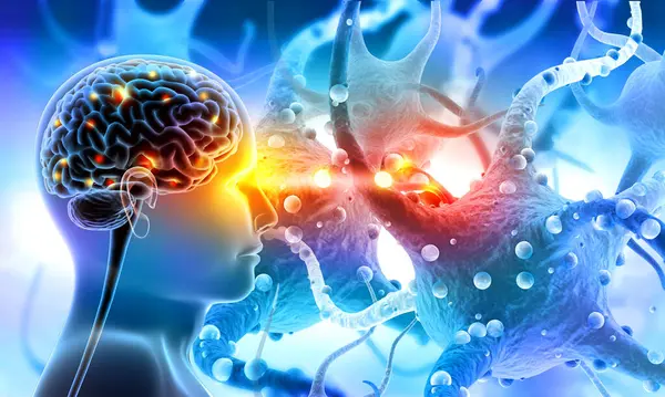 Cerebro Humano Células Nerviosas Ilustración —  Fotos de Stock