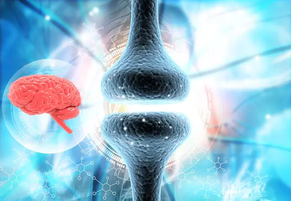 Ανθρώπινος Εγκέφαλος Και Νευρικά Κύτταρα Εικονογράφηση — Φωτογραφία Αρχείου