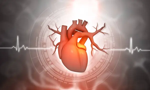 Anatomie Des Menschlichen Herzens Auf Wissenschaftlichem Hintergrund Illustration — Stockfoto