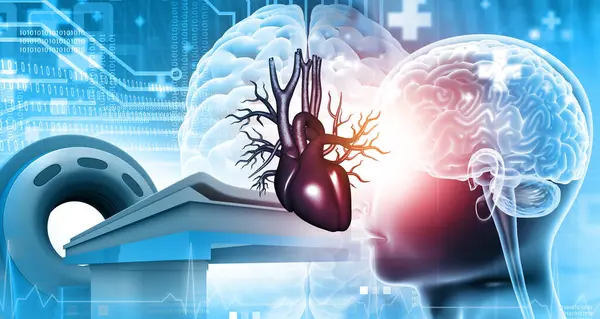 Corazón Humano Con Anatomía Cerebral Con Máquina Resonancia Magnética Ilustración —  Fotos de Stock