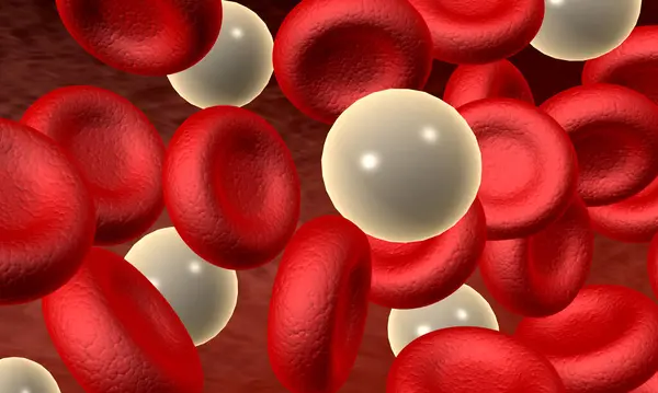 Blood Cells Background Illustration — Stock Photo, Image
