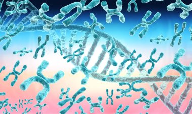 Kromozomlu DNA ipliği. 3d illüstrasyon