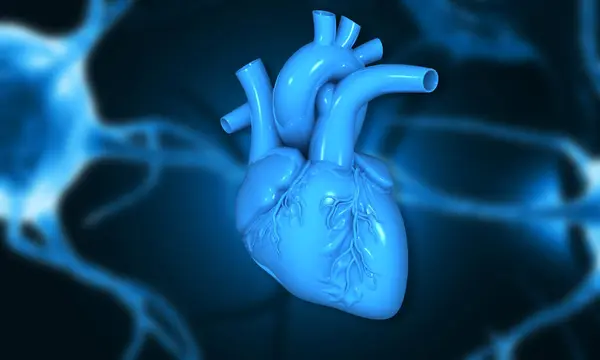 科学背景下的人类心脏解剖学 3D说明 — 图库照片