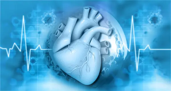 Anatomie Lidského Srdce Vědeckém Pozadí Ilustrace — Stock fotografie
