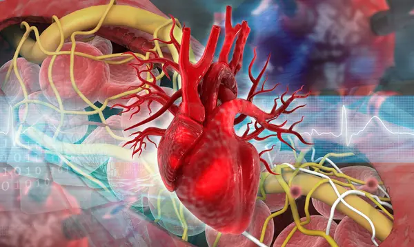 人間の心臓は 血管炎症を患っています 3Dイラスト — ストック写真