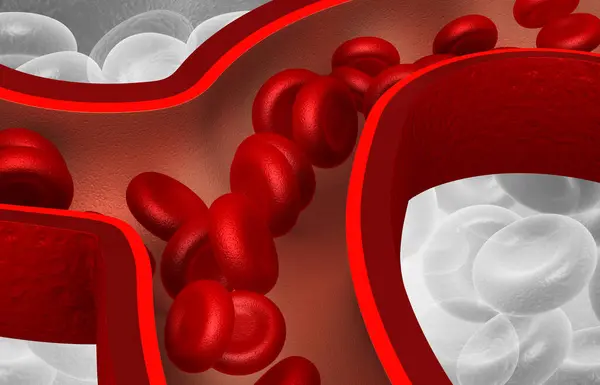 Krevní Buňky Uvnitř Tepny Ilustrace — Stock fotografie