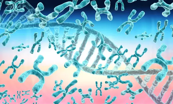 Hilo Adn Con Cromosomas Ilustración —  Fotos de Stock
