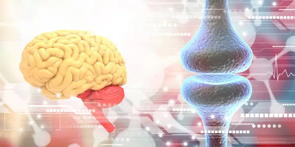 Menschliches Gehirn Mit Neuronen Signalübertragung Illustration — Stockfoto