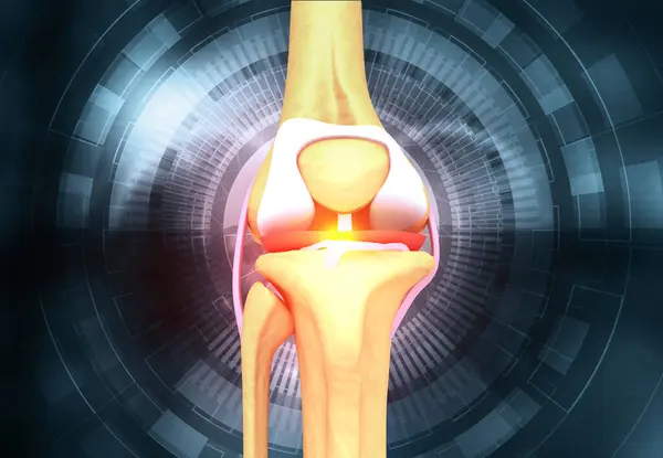 Menschliche Kniegelenkanatomie Illustration — Stockfoto