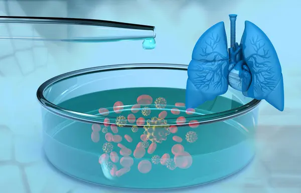 化学実験室でウイルスを有するヒト呼吸器系 3Dイラスト ストック画像