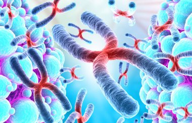 İnsan kromozomları arka planı. 3d illüstrasyon