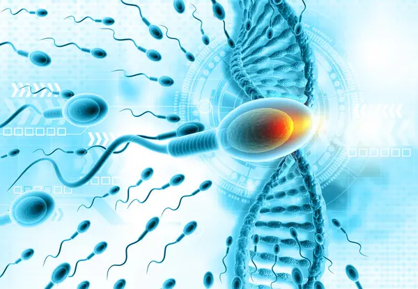 DNA ipliği olan spermler. 3d dijital illüstrasyon