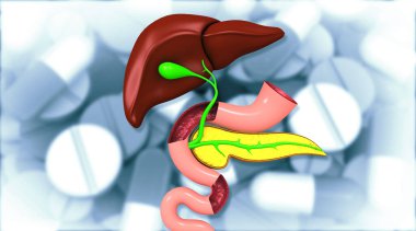 İlaç geçmişinde insan sindirim sistemi anatomisi. 3d illüstrasyon