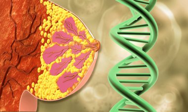 Dişi göğüs kesiti ve DNA ipliği. 3d illüstrasyon